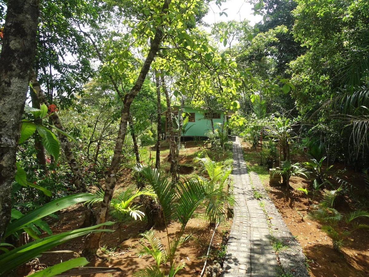 Casa Jade Hostel Drake Bay Bagian luar foto