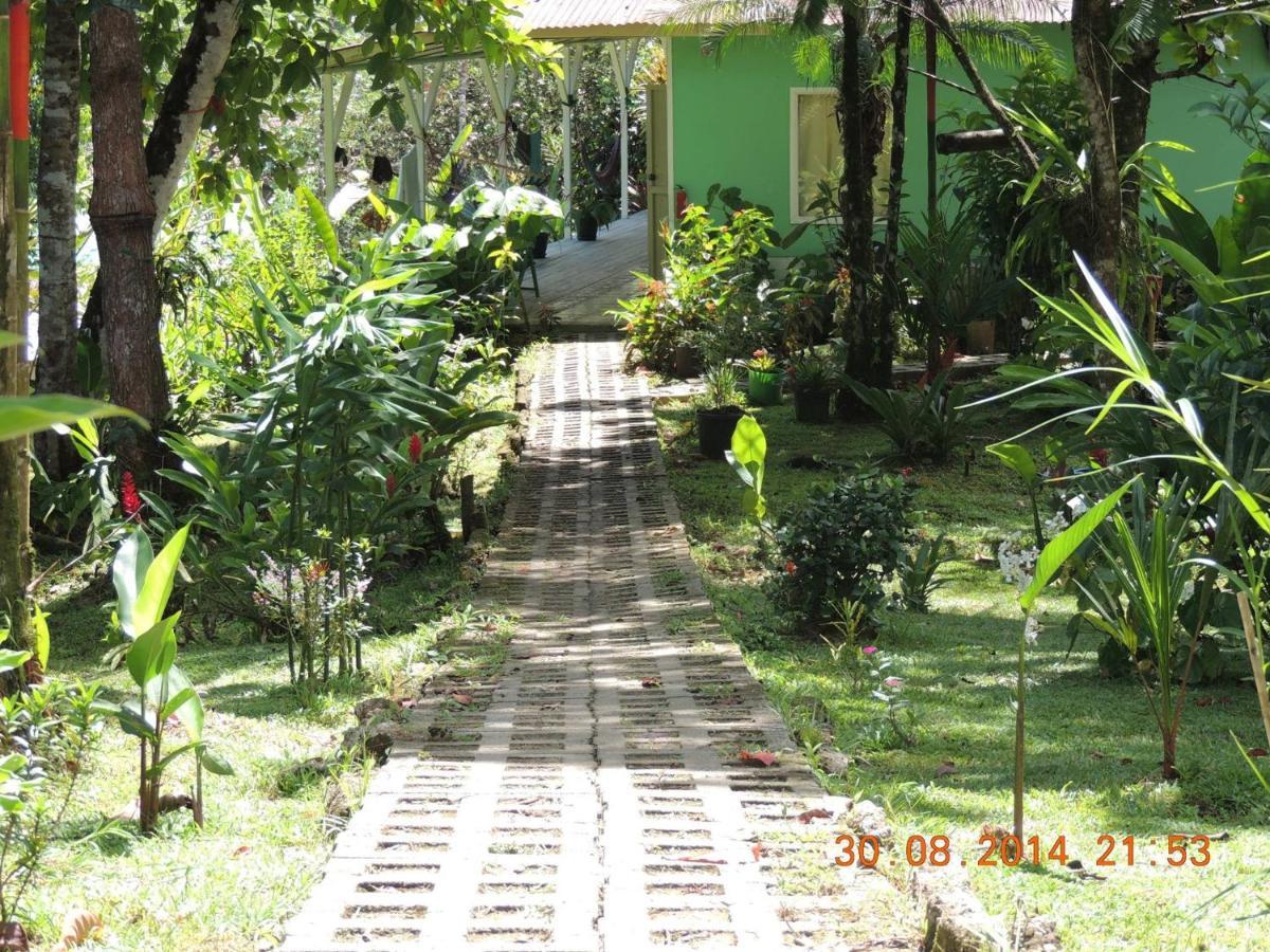 Casa Jade Hostel Drake Bay Bagian luar foto
