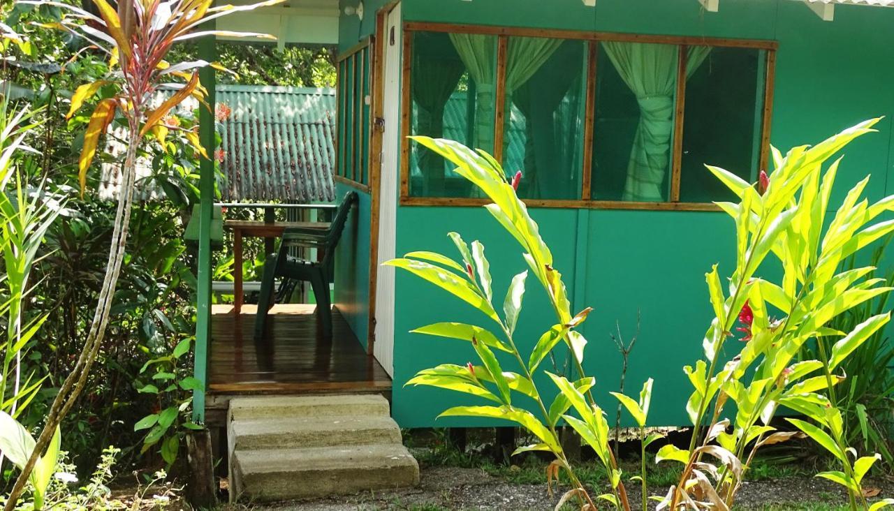 Casa Jade Hostel Drake Bay Bagian luar foto